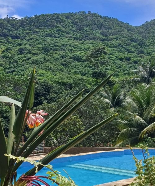 Imagem do WhatsApp de 2025-10-01 à(s) 13.37.04_2c23578d