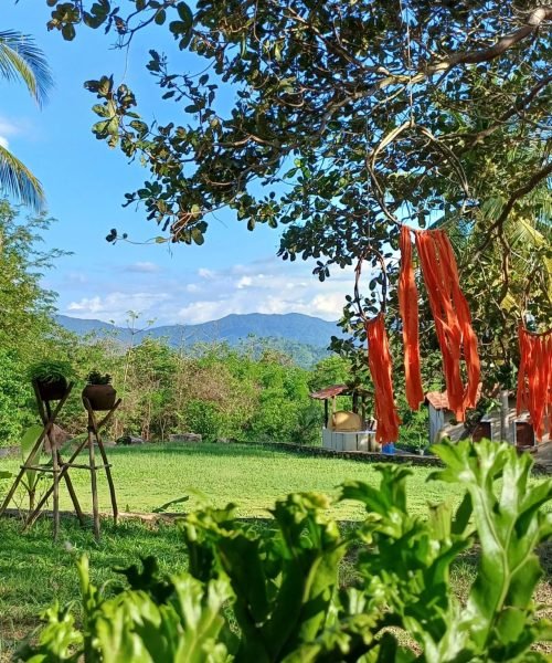 Imagem do WhatsApp de 2025-10-01 à(s) 13.37.04_8e50e5de