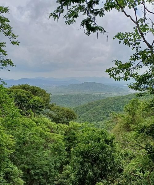 Imagem do WhatsApp de 2025-10-01 à(s) 13.37.04_f2b638a1