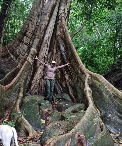 Imagem do WhatsApp de 2025-10-01 à(s) 13.37.05_b386f9ce